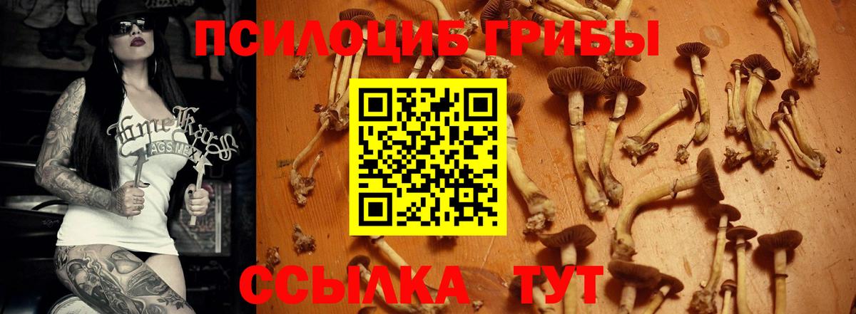 Галлюциногенные грибы MAGIC MUSHROOMS Пугачёв