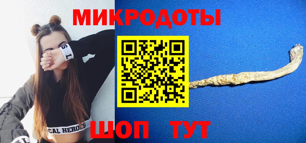 Пугачёв  Псилоцибиновые грибы Magic Shrooms  Вход с VPN 