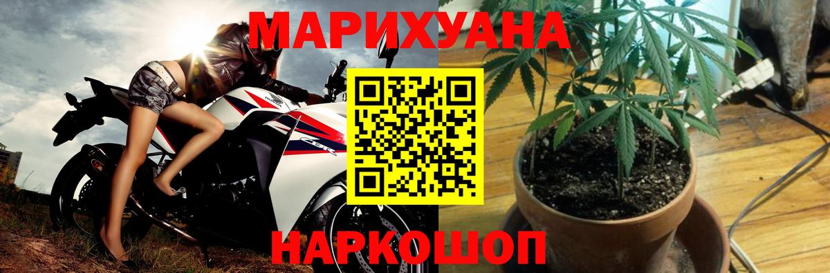 Пугачёв  Бошки марихуана конопля  Вход с VPN  Марихуана индика 